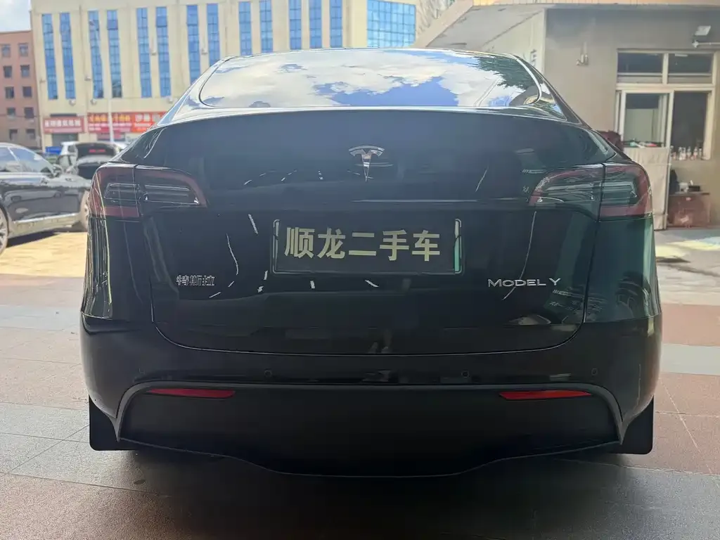 Tesla Model Y — фото 9