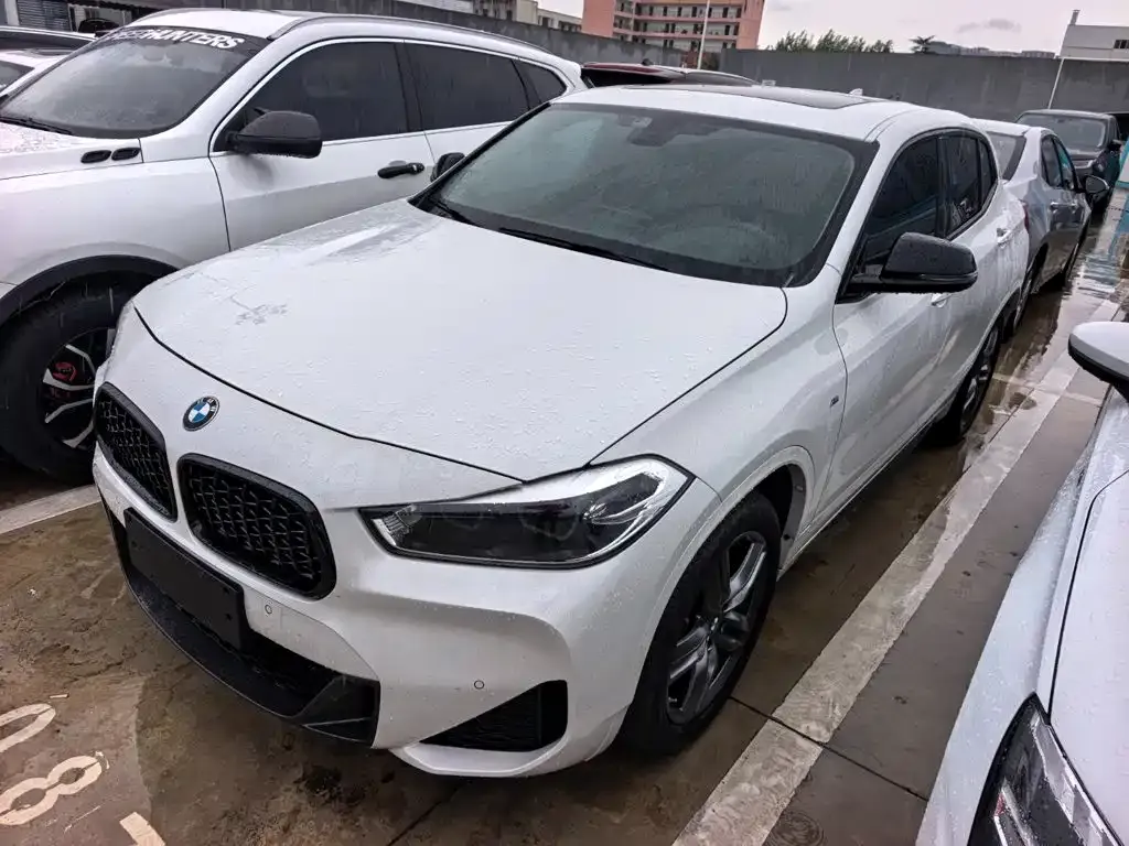 BMW X2 — фото 1