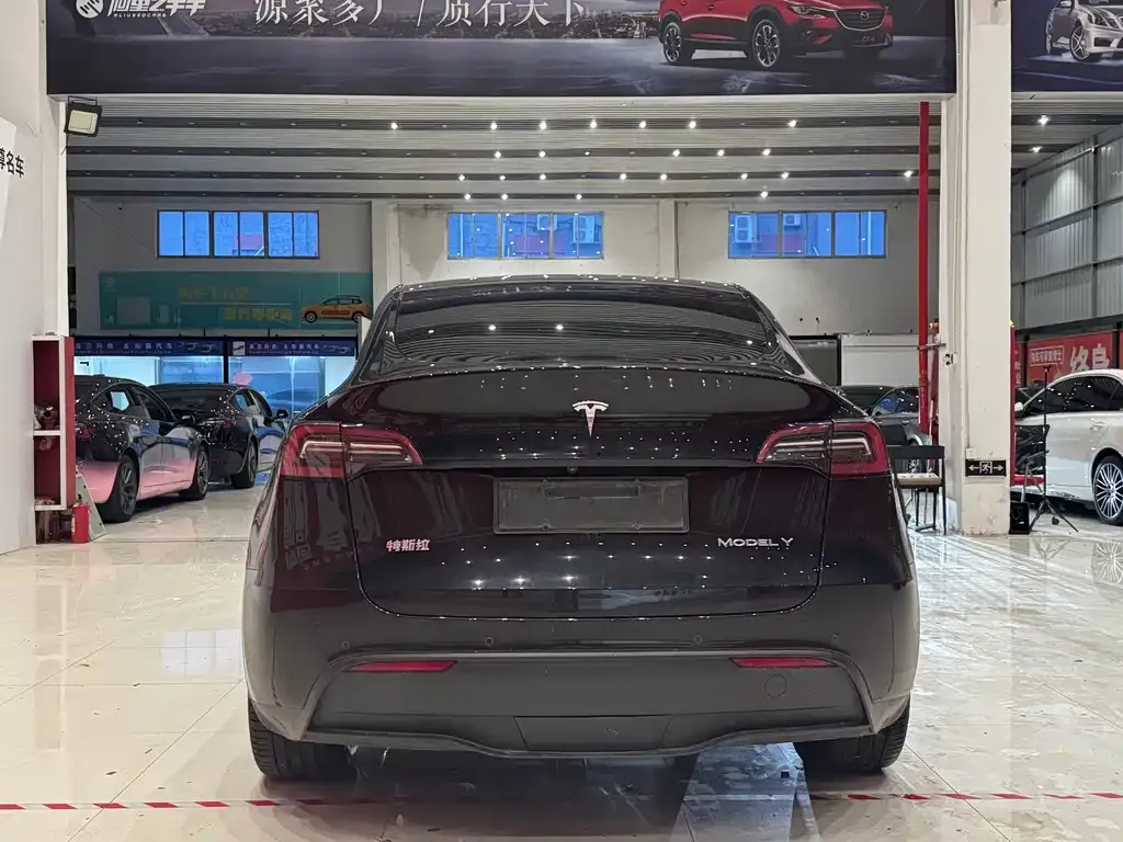 Tesla Model Y — фото 3