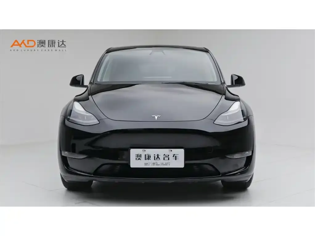 Tesla Model Y — фото 2
