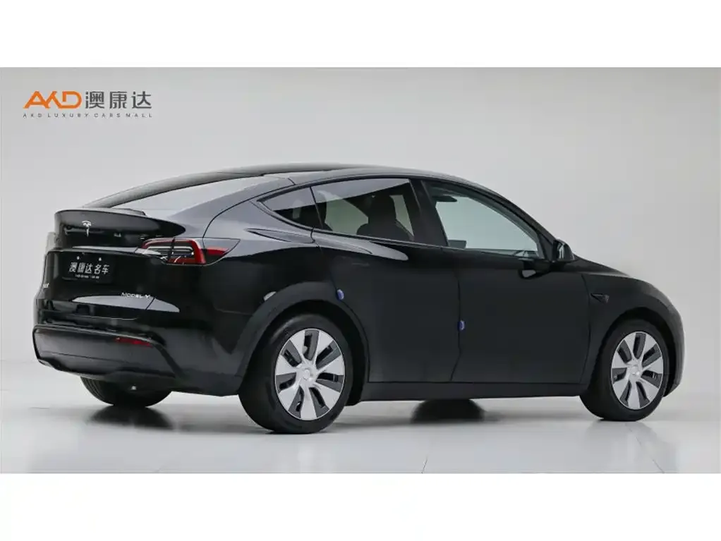 Tesla Model Y — фото 8