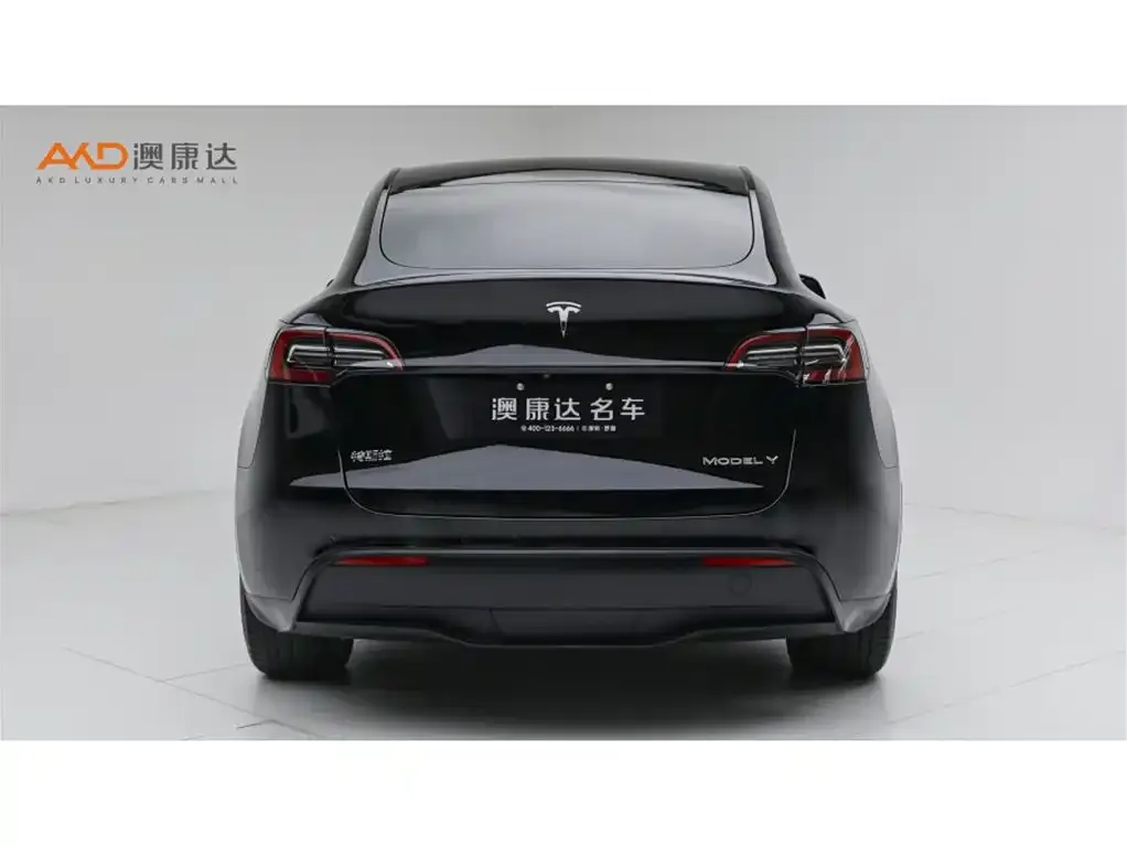 Tesla Model Y — фото 6