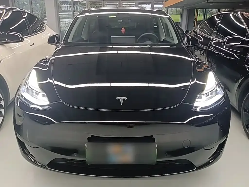 Tesla Model Y — фото 9