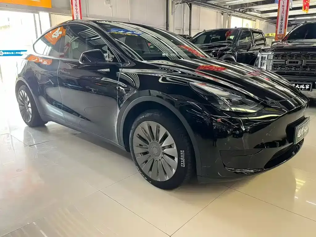 Tesla Model Y — фото 2