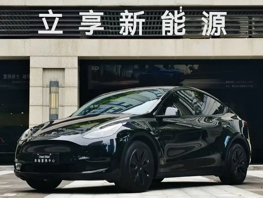 Tesla Model Y — фото 1