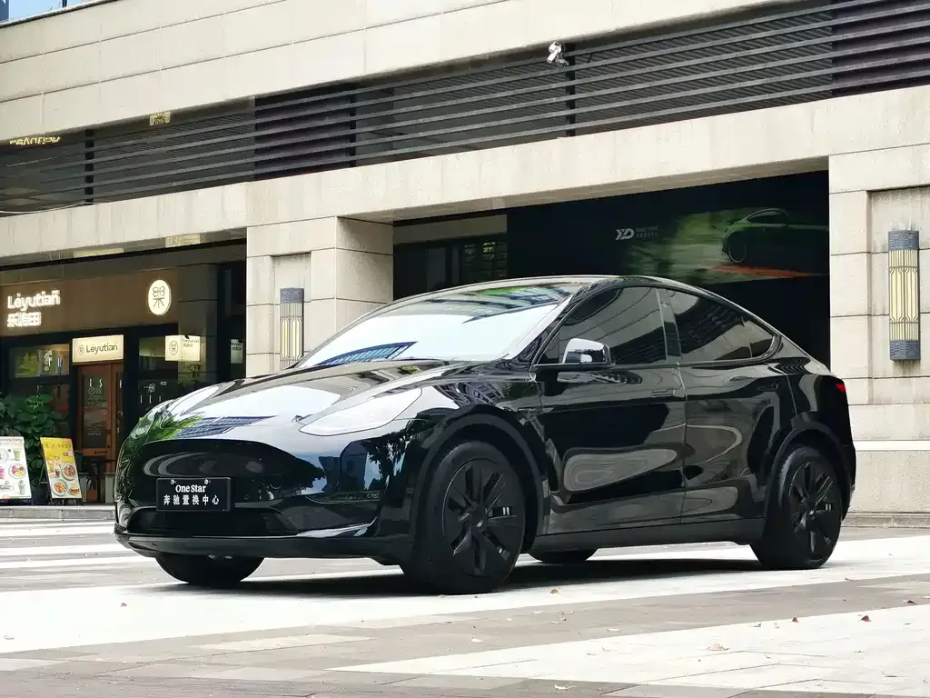 Tesla Model Y — фото 7