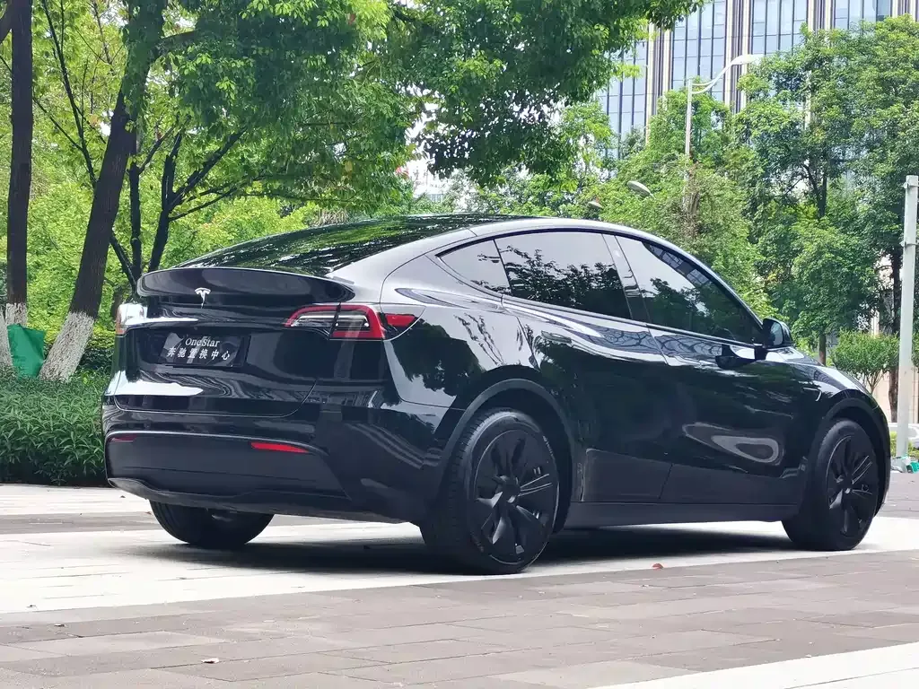 Tesla Model Y — фото 8