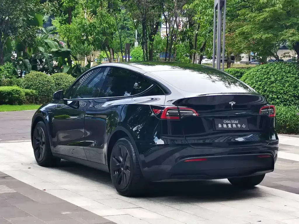 Tesla Model Y — фото 10
