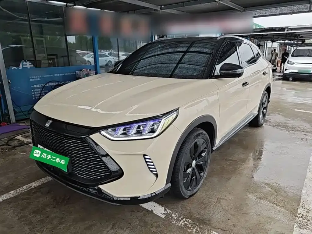 BYD PLUS New Energy — фото 4