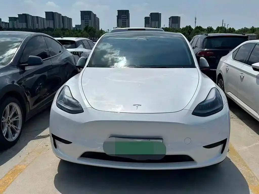 Tesla Model Y — фото 3