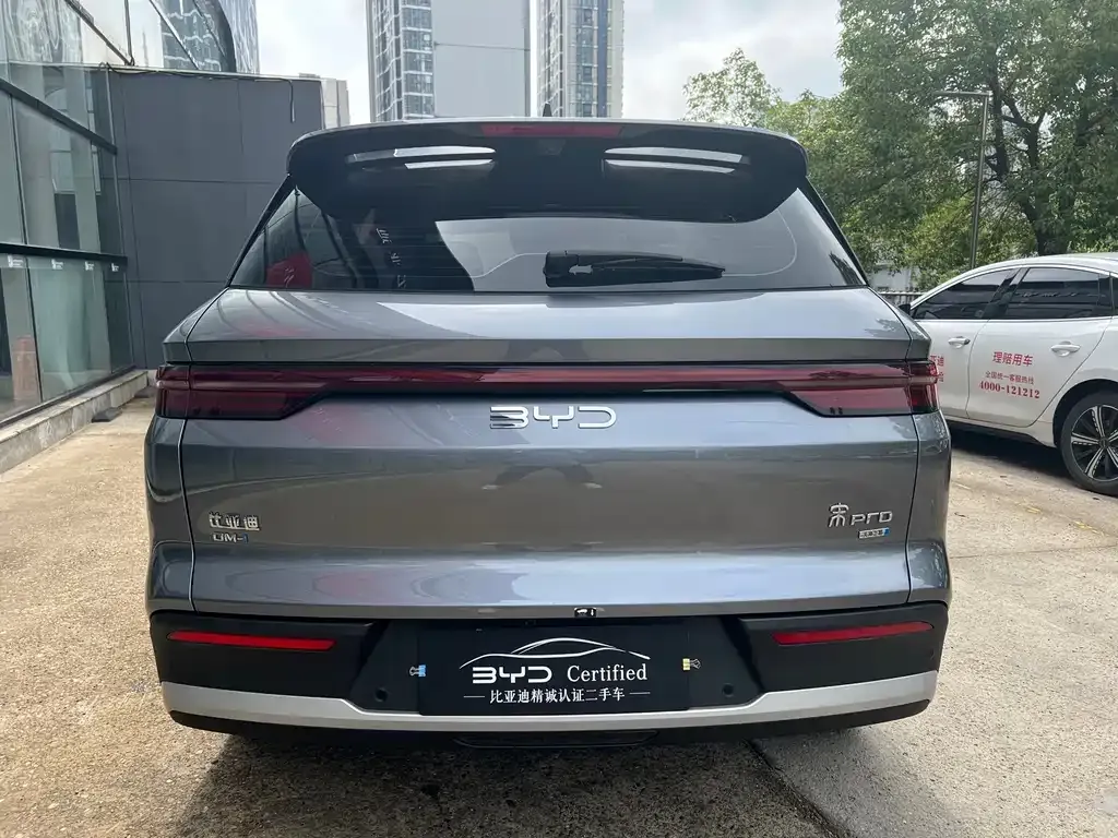 BYD Pro New Energy — фото 4
