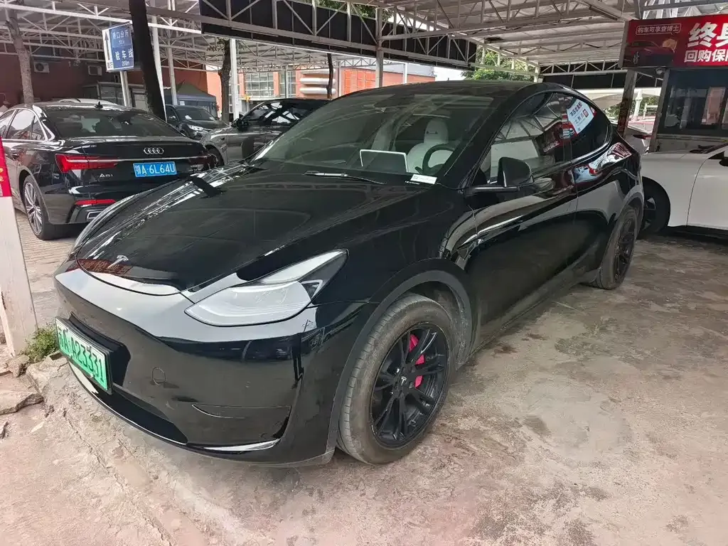 Tesla Model Y — фото 1