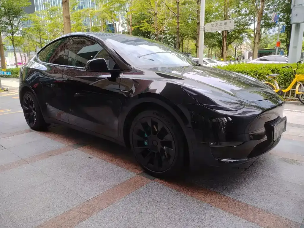 Tesla Model Y — фото 10