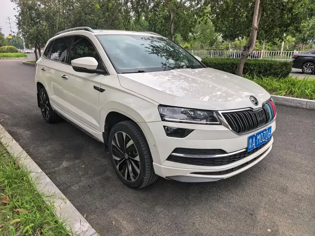 Skoda Karoq — фото 7