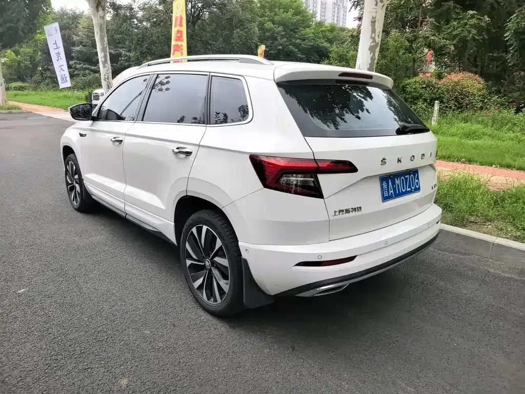 Skoda Karoq — фото 6