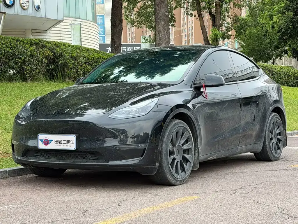 Tesla Model Y — фото 1