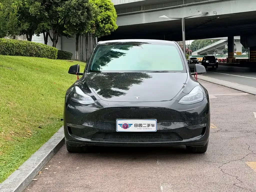 Tesla Model Y — фото 10