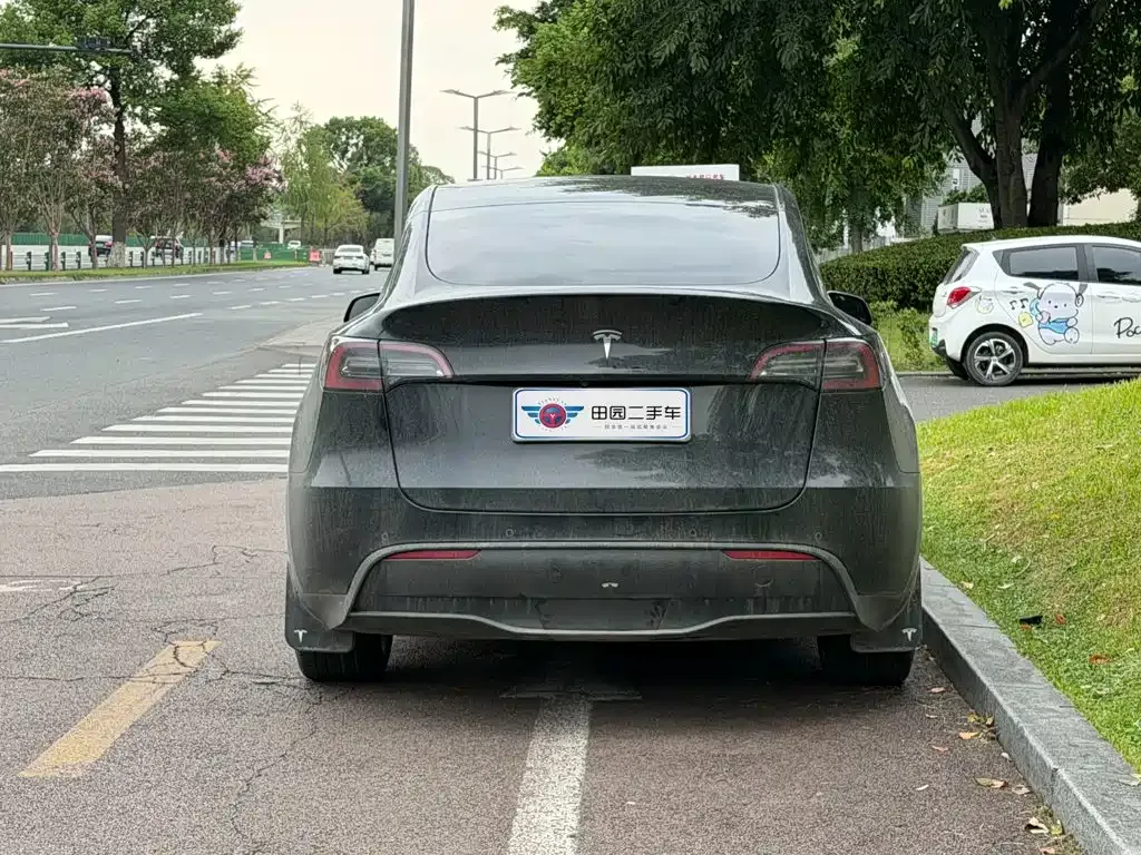 Tesla Model Y — фото 8