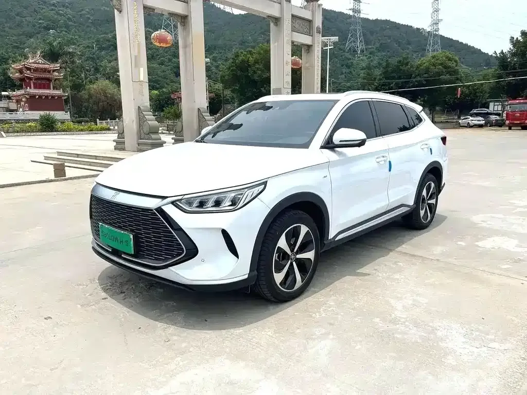 BYD PLUS New Energy — фото 1