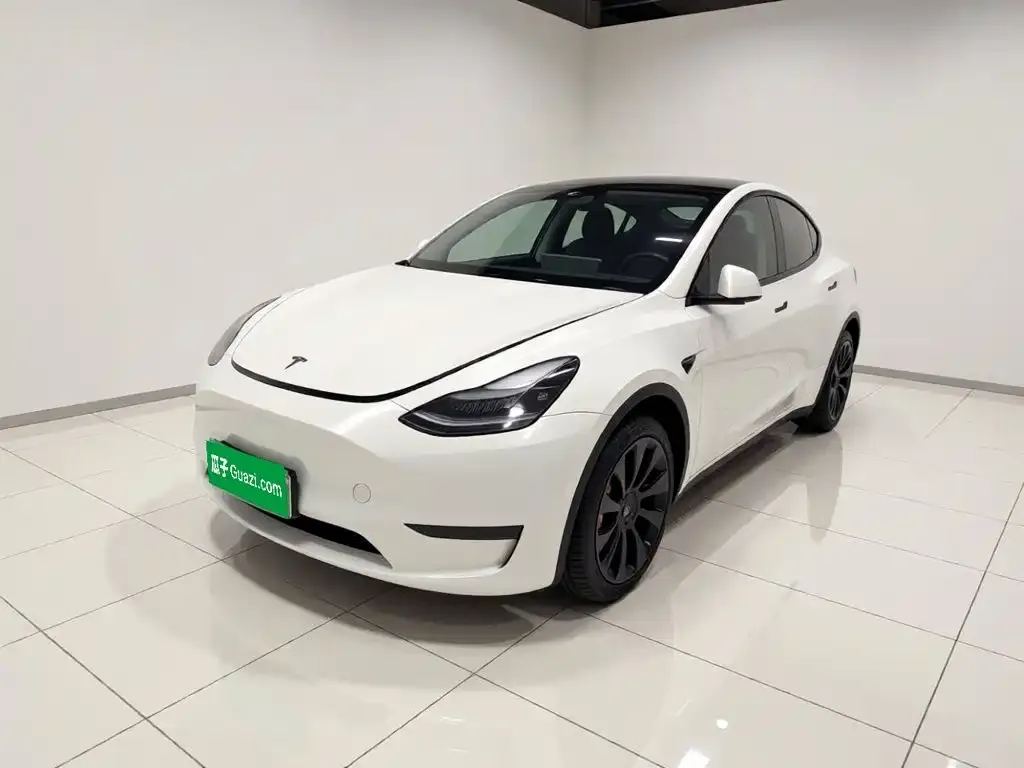 Tesla Model Y — фото 1