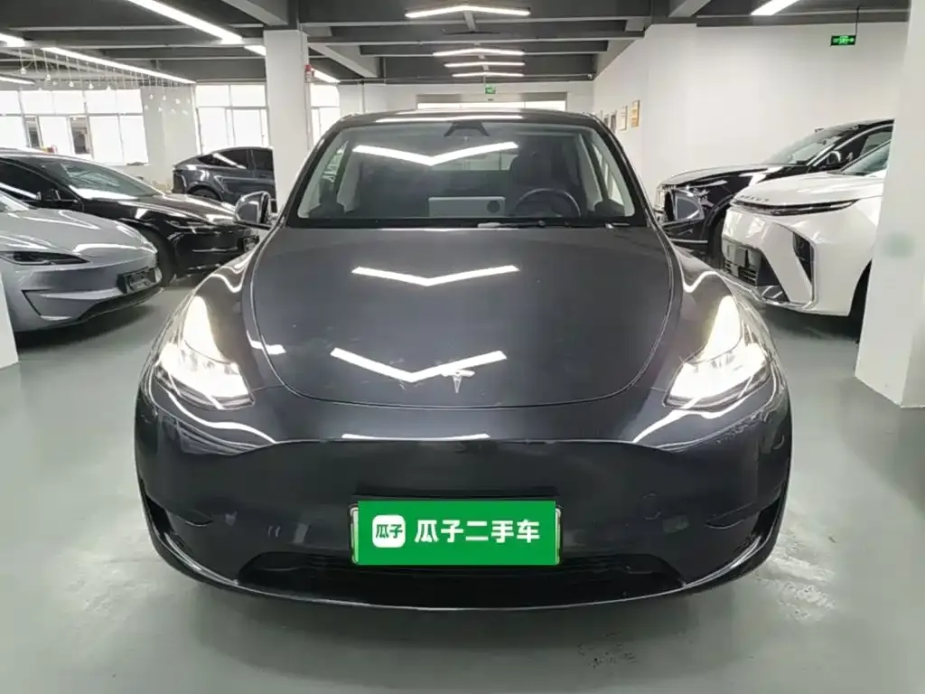 Tesla Model Y — фото 3