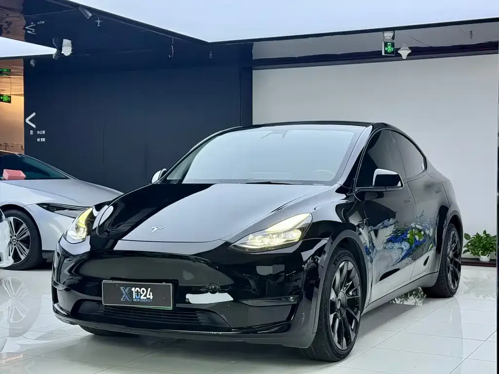 Tesla Model Y — фото 1