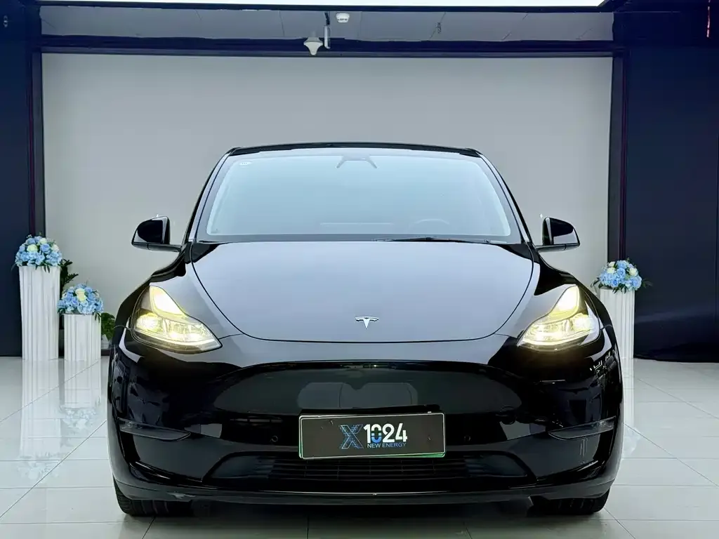 Tesla Model Y — фото 7