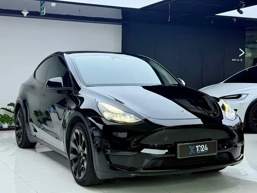 Tesla Model Y — фото 8