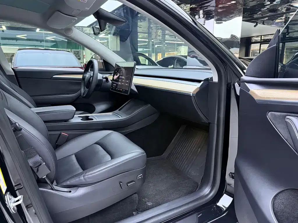 Tesla Model Y — фото 10