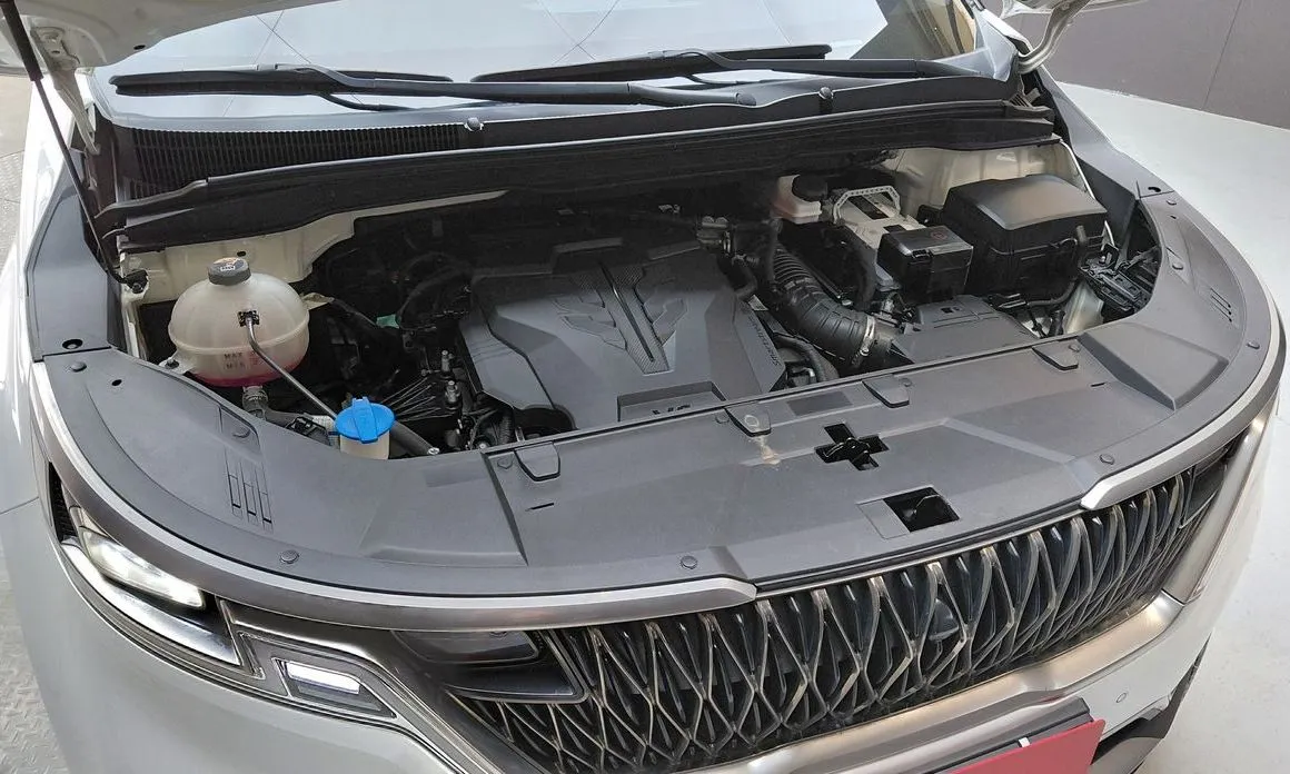 Kia Carnival — фото 10
