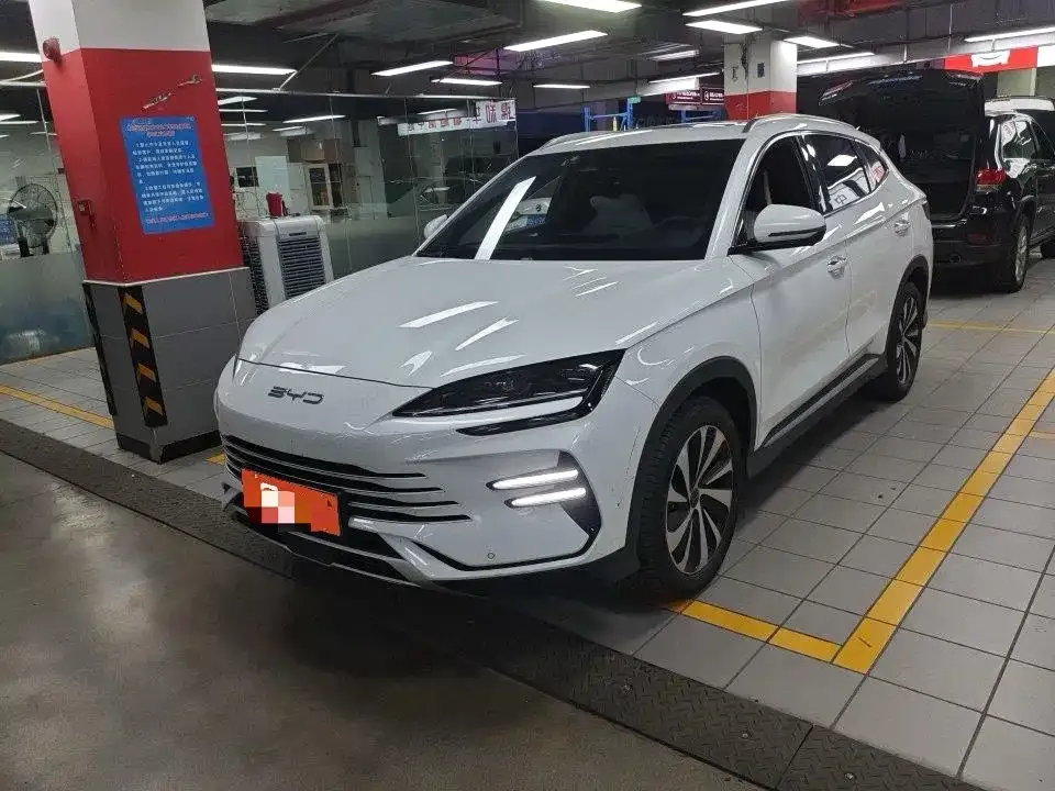 BYD PLUS New Energy — фото 1
