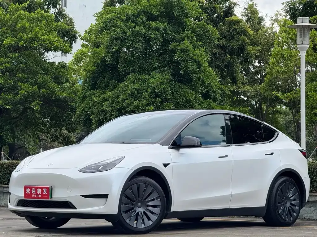Tesla Model Y — фото 1