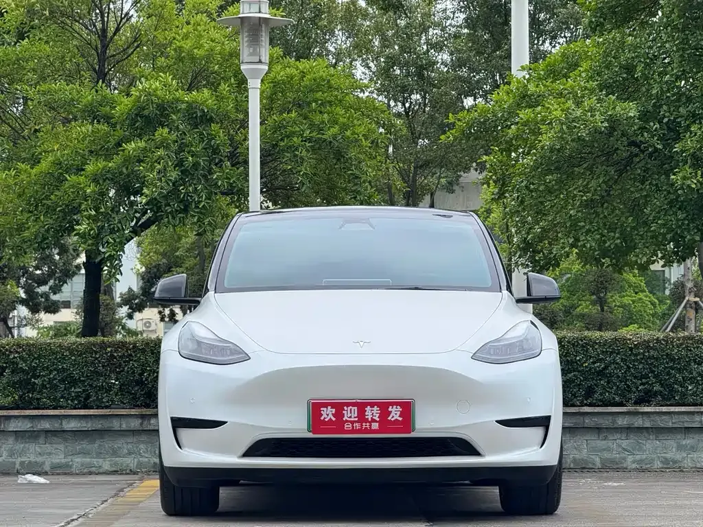 Tesla Model Y — фото 8