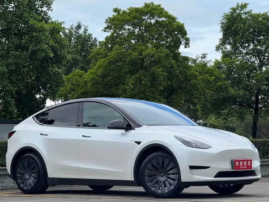 Tesla Model Y — фото 7