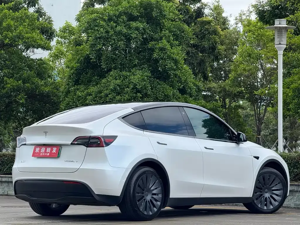 Tesla Model Y — фото 6