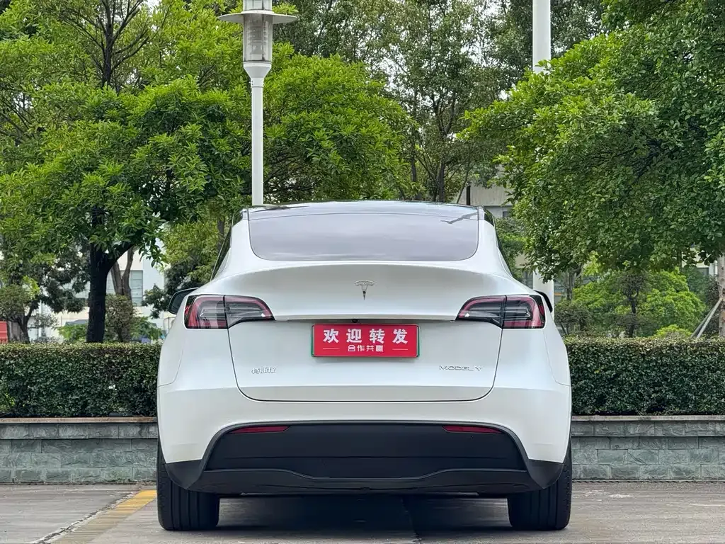 Tesla Model Y — фото 5