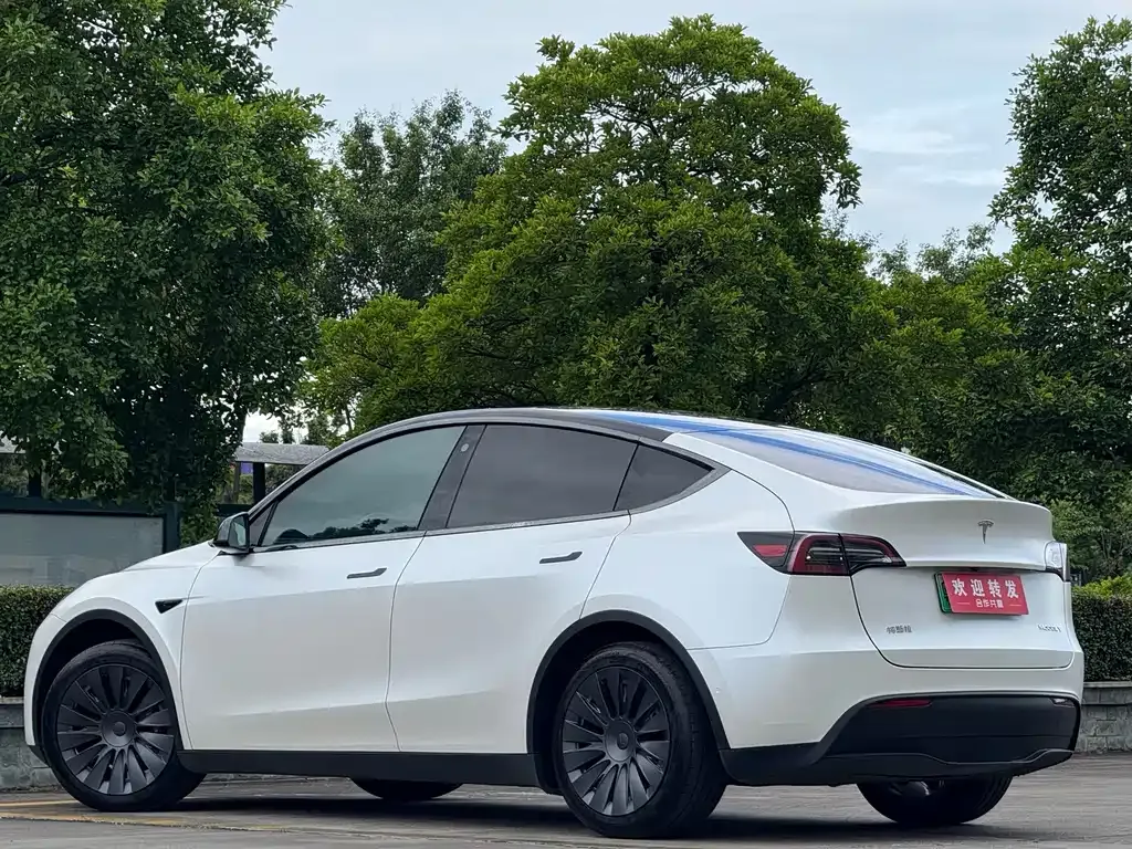 Tesla Model Y — фото 9