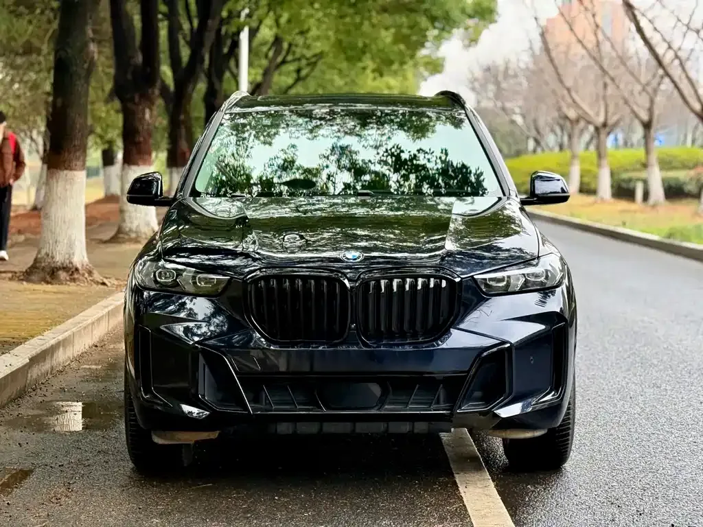 BMW X5 — фото 9