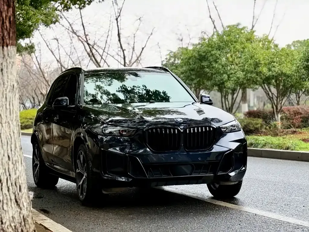 BMW X5 — фото 10