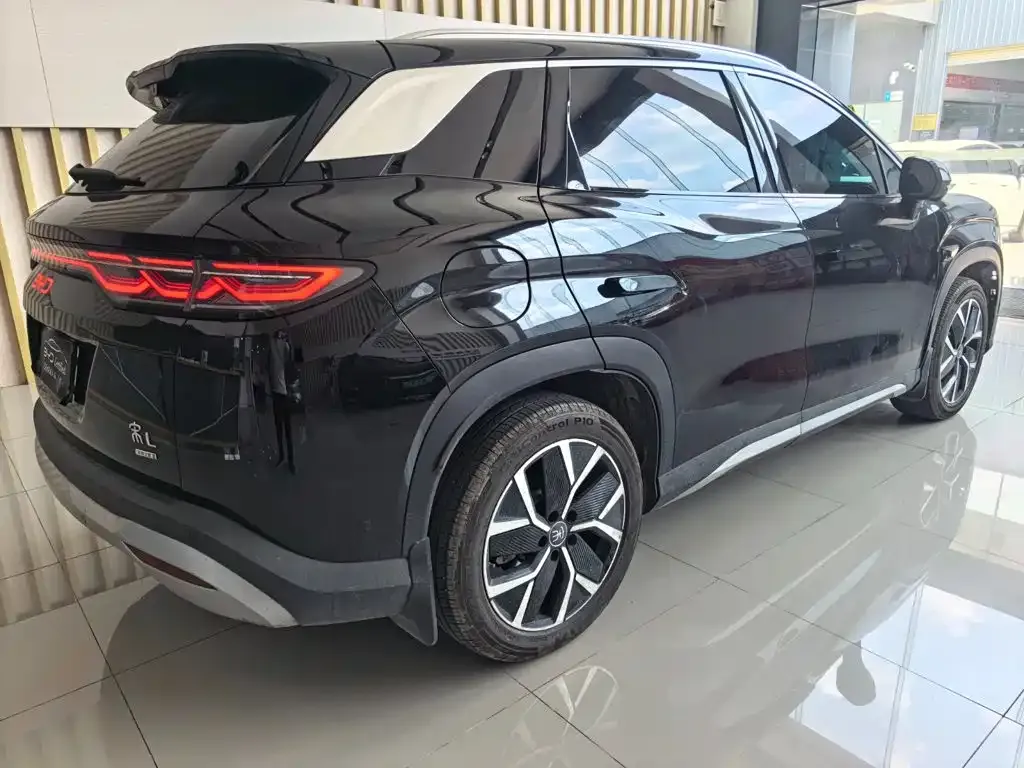 BYD L DM-i — фото 10