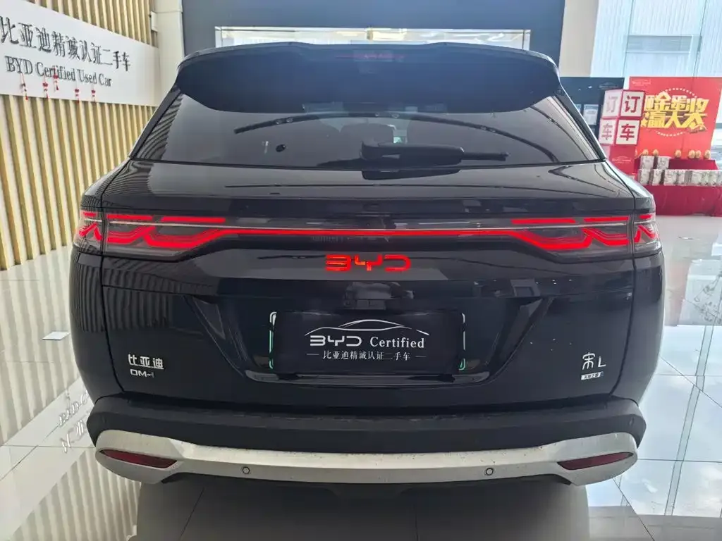 BYD L DM-i — фото 9