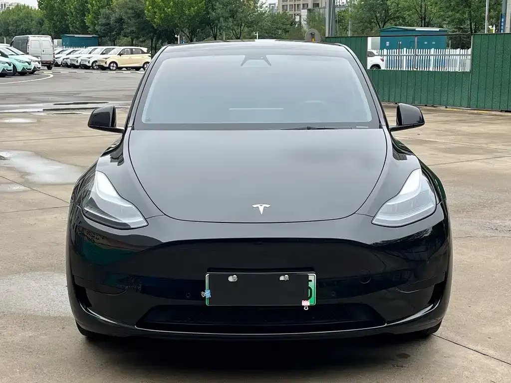Tesla Model Y — фото 8