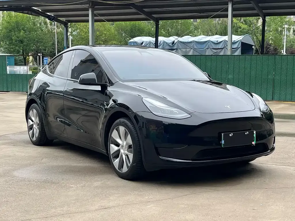 Tesla Model Y — фото 10