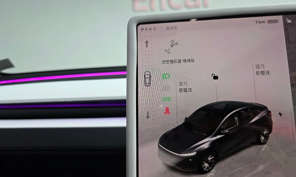 Tesla Model Y — фото 9