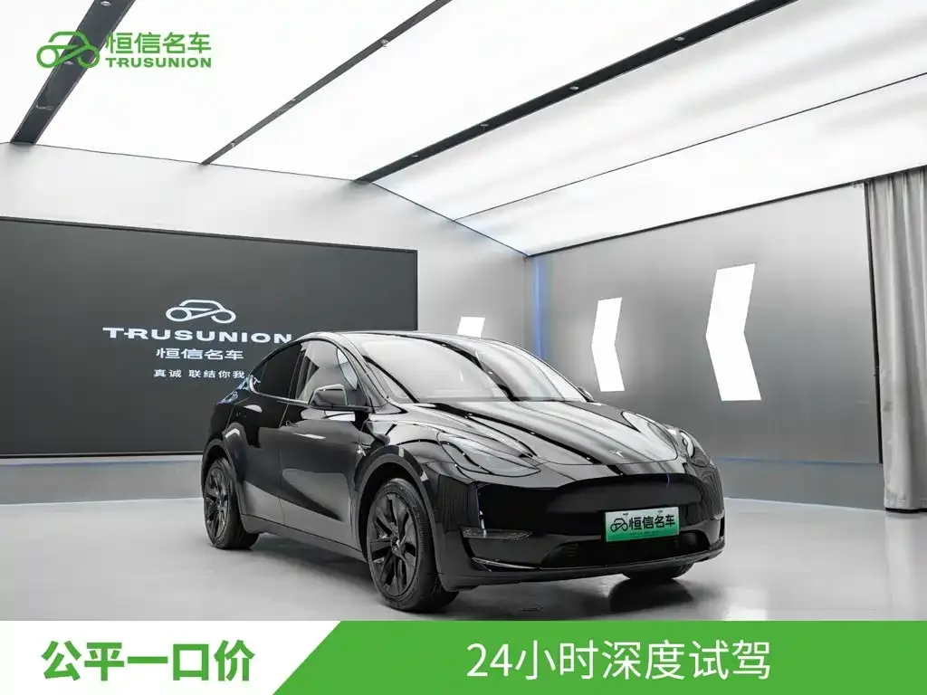 Tesla Model Y — фото 1