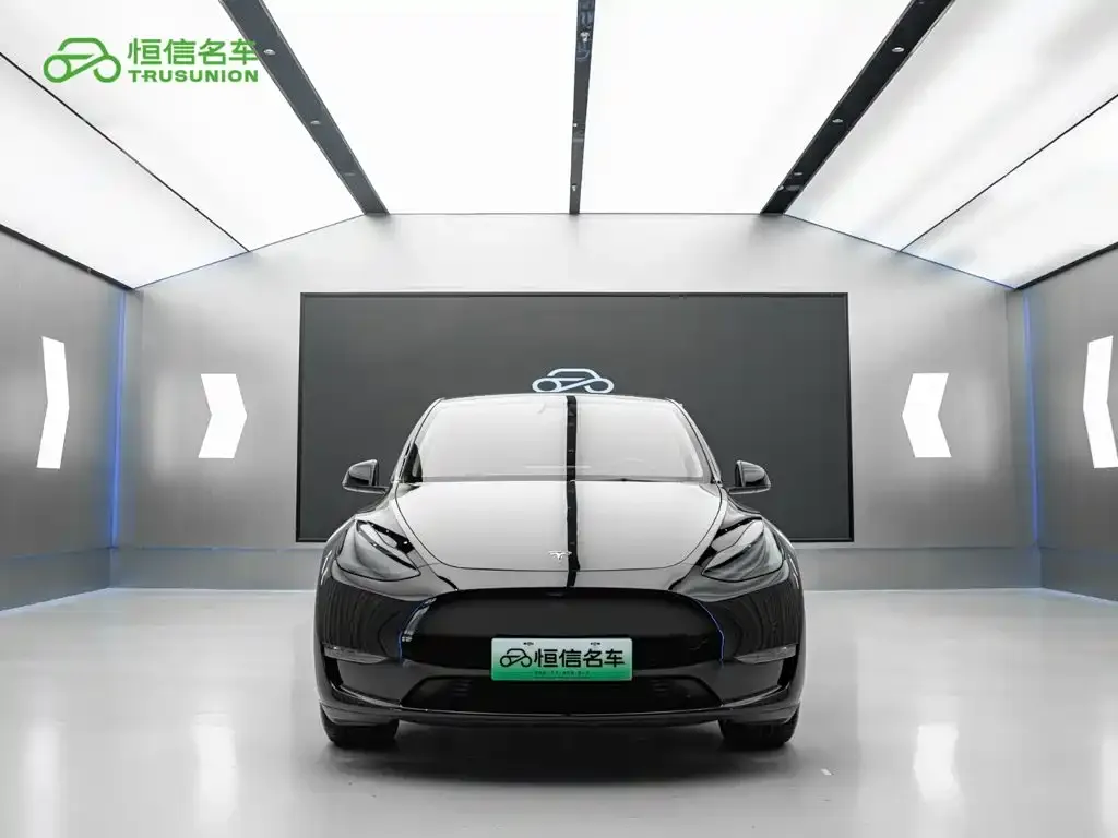 Tesla Model Y — фото 2