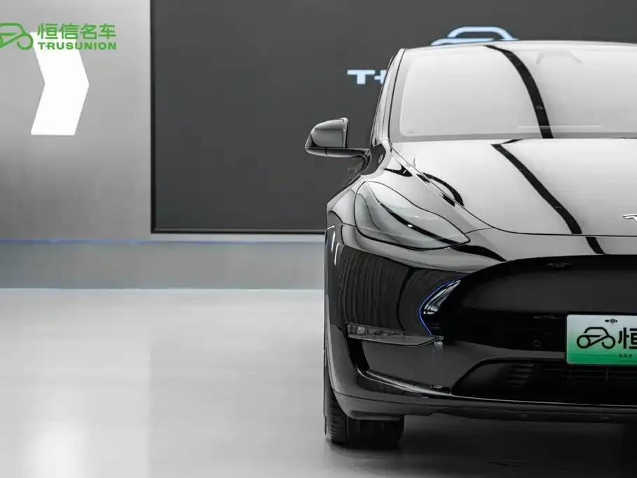Tesla Model Y — фото 6