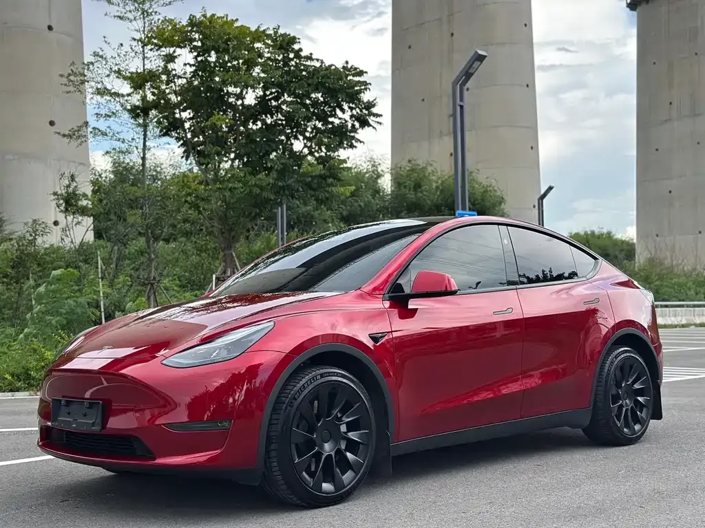 Tesla Model Y — фото 1