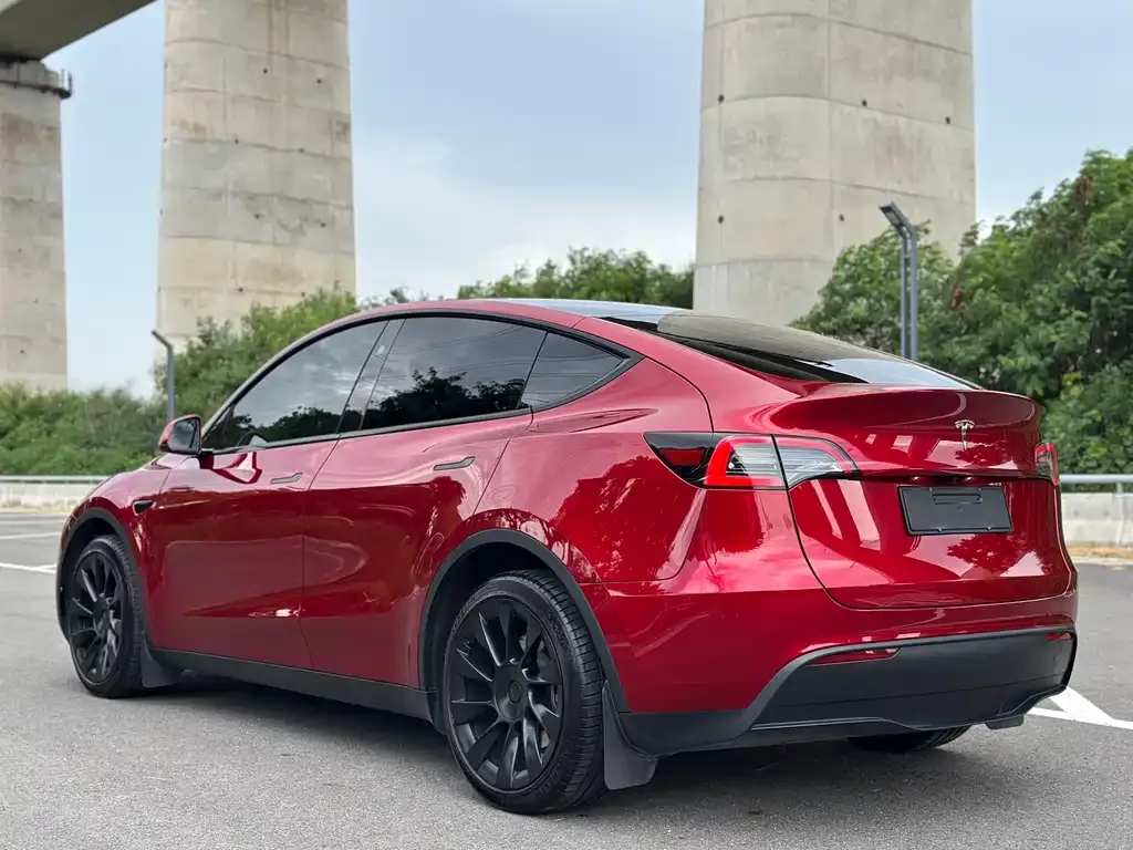 Tesla Model Y — фото 9
