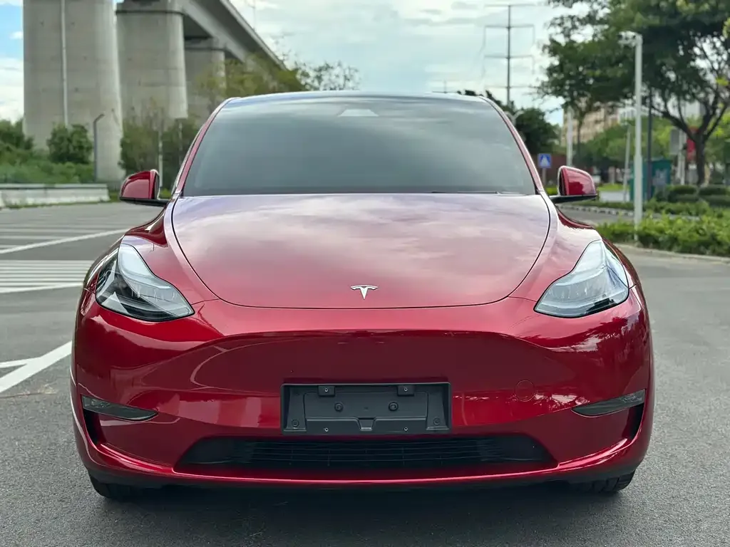 Tesla Model Y — фото 2